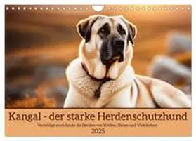 CALVENDO / Kleemann |  Kangal - der starke Herdenschutzhund (Wandkalender 2025 DIN A4 quer), CALVENDO Monatskalender | Sonstiges |  Sack Fachmedien