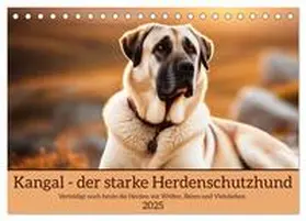 CALVENDO / Kleemann |  Kangal - der starke Herdenschutzhund (Tischkalender 2025 DIN A5 quer), CALVENDO Monatskalender | Sonstiges |  Sack Fachmedien