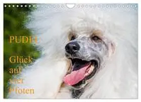 CALVENDO / Starick |  Pudel - Glück auf vier Pfoten (Wandkalender 2025 DIN A4 quer), CALVENDO Monatskalender | Sonstiges |  Sack Fachmedien