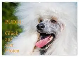 CALVENDO / Starick |  Pudel - Glück auf vier Pfoten (Wandkalender 2025 DIN A2 quer), CALVENDO Monatskalender | Sonstiges |  Sack Fachmedien