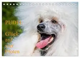 CALVENDO / Starick |  Pudel - Glück auf vier Pfoten (Tischkalender 2025 DIN A5 quer), CALVENDO Monatskalender | Sonstiges |  Sack Fachmedien