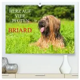 CALVENDO / Starick |  Herz auf vier Pfoten - Briard (hochwertiger Premium Wandkalender 2025 DIN A2 quer), Kunstdruck in Hochglanz | Sonstiges |  Sack Fachmedien