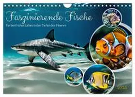 CALVENDO / Kleemann |  Faszinierende Fische (Wandkalender 2025 DIN A4 quer), CALVENDO Monatskalender | Sonstiges |  Sack Fachmedien