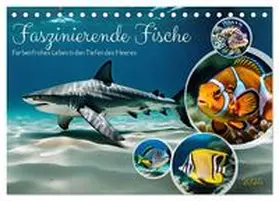 CALVENDO / Kleemann |  Faszinierende Fische (Tischkalender 2025 DIN A5 quer), CALVENDO Monatskalender | Sonstiges |  Sack Fachmedien