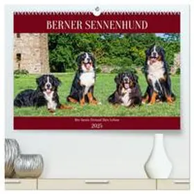 CALVENDO / Starick |  Berner Sennenhund - Der beste Freund fürs Leben (hochwertiger Premium Wandkalender 2025 DIN A2 quer), Kunstdruck in Hochglanz | Sonstiges |  Sack Fachmedien