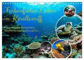 CALVENDO / Kleemann |  Farbenfrohes Leben im Korallenriff (Wandkalender 2025 DIN A4 quer), CALVENDO Monatskalender | Sonstiges |  Sack Fachmedien