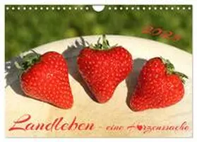 CALVENDO / Heepmann |  Landleben - eine Herzenssache (Wandkalender 2025 DIN A4 quer), CALVENDO Monatskalender | Sonstiges |  Sack Fachmedien