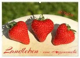 CALVENDO / Heepmann |  Landleben - eine Herzenssache (Wandkalender 2025 DIN A2 quer), CALVENDO Monatskalender | Sonstiges |  Sack Fachmedien