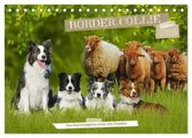 CALVENDO / Starick | Border Collie - Das Universalgenie unter den Hunden (Tischkalender 2025 DIN A5 quer), CALVENDO Monatskalender | Sonstiges | 978-3-457-15777-0 | www.sack.de