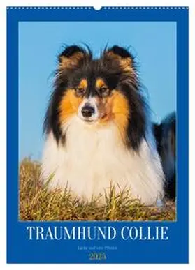 CALVENDO / Starick |  Traumhund Collie - Liebe auf vier Pfoten (Wandkalender 2025 DIN A2 hoch), CALVENDO Monatskalender | Sonstiges |  Sack Fachmedien