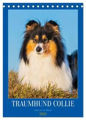 CALVENDO / Starick |  Traumhund Collie - Liebe auf vier Pfoten (Tischkalender 2025 DIN A5 hoch), CALVENDO Monatskalender | Sonstiges |  Sack Fachmedien