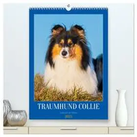 CALVENDO / Starick |  Traumhund Collie - Liebe auf vier Pfoten (hochwertiger Premium Wandkalender 2025 DIN A2 hoch), Kunstdruck in Hochglanz | Sonstiges |  Sack Fachmedien