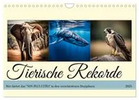 CALVENDO / Kleemann |  Tierische Rekorde (Wandkalender 2025 DIN A4 quer), CALVENDO Monatskalender | Sonstiges |  Sack Fachmedien