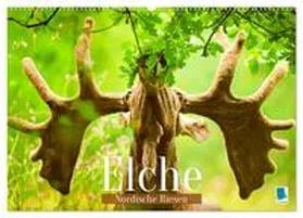CALVENDO |  Elche: Nordische Riesen (Wandkalender 2025 DIN A2 quer), CALVENDO Monatskalender | Sonstiges |  Sack Fachmedien