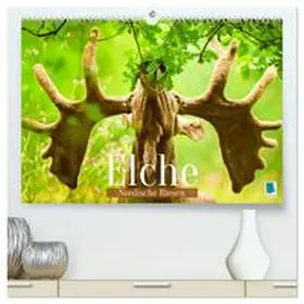 CALVENDO |  Elche: Nordische Riesen (hochwertiger Premium Wandkalender 2025 DIN A2 quer), Kunstdruck in Hochglanz | Sonstiges |  Sack Fachmedien