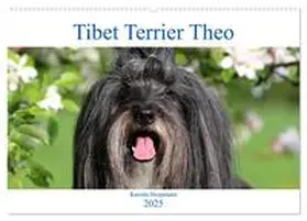 CALVENDO / Heepmann |  Tibet Terrier Theo (Wandkalender 2025 DIN A2 quer), CALVENDO Monatskalender | Sonstiges |  Sack Fachmedien