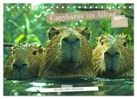 CALVENDO / Kowalski |  Capybaras im Alltag - Ein Jahr voller Abenteuer (Tischkalender 2025 DIN A5 quer), CALVENDO Monatskalender | Sonstiges |  Sack Fachmedien