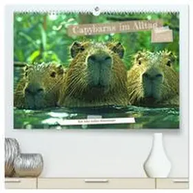 CALVENDO / Kowalski |  Capybaras im Alltag - Ein Jahr voller Abenteuer (hochwertiger Premium Wandkalender 2025 DIN A2 quer), Kunstdruck in Hochglanz | Sonstiges |  Sack Fachmedien