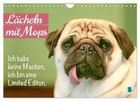 CALVENDO |  Lächeln mit Mops (Wandkalender 2025 DIN A4 quer), CALVENDO Monatskalender | Sonstiges |  Sack Fachmedien