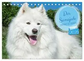 CALVENDO / Starick |  Der Samojede - Schönheit des Nordens (Tischkalender 2025 DIN A5 quer), CALVENDO Monatskalender | Sonstiges |  Sack Fachmedien