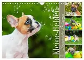 CALVENDO / Starick |  Kleine Helden - Französische Bulldoggen (Wandkalender 2025 DIN A4 quer), CALVENDO Monatskalender | Sonstiges |  Sack Fachmedien