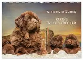 CALVENDO / Starick |  Neufundländer - Kleine Weltentdecker (Wandkalender 2025 DIN A2 quer), CALVENDO Monatskalender | Sonstiges |  Sack Fachmedien