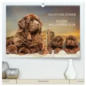 CALVENDO / Starick |  Neufundländer - Kleine Weltentdecker (hochwertiger Premium Wandkalender 2025 DIN A2 quer), Kunstdruck in Hochglanz | Sonstiges |  Sack Fachmedien