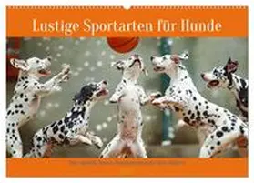 CALVENDO / Tapper |  Lustige Sportarten für Hunde (Wandkalender 2025 DIN A2 quer), CALVENDO Monatskalender | Sonstiges |  Sack Fachmedien
