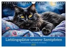 CALVENDO / Kleemann |  Lieblingsplätze unserer Samtpfoten (Wandkalender 2025 DIN A4 quer), CALVENDO Monatskalender | Sonstiges |  Sack Fachmedien