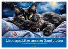 CALVENDO / Kleemann |  Lieblingsplätze unserer Samtpfoten (Wandkalender 2025 DIN A2 quer), CALVENDO Monatskalender | Sonstiges |  Sack Fachmedien