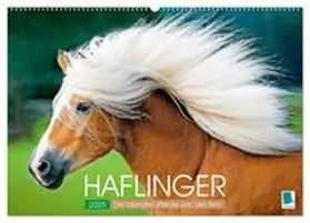 CALVENDO | Haflinger: Die blonden Pferde von der Alm (Wandkalender 2025 DIN A2 quer), CALVENDO Monatskalender | Sonstiges | 978-3-457-18501-8 | www.sack.de
