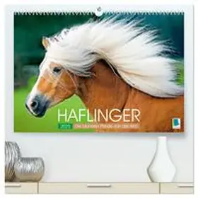 CALVENDO |  Haflinger: Die blonden Pferde von der Alm (hochwertiger Premium Wandkalender 2025 DIN A2 quer), Kunstdruck in Hochglanz | Sonstiges |  Sack Fachmedien