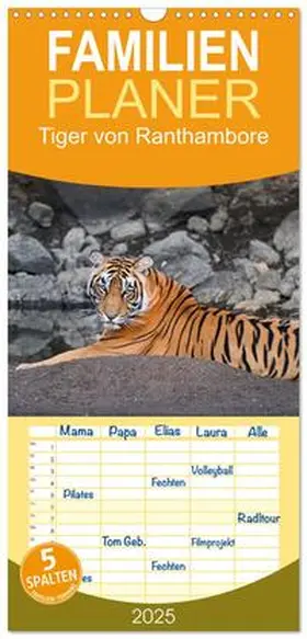 CALVENDO / STYPPA |  Familienplaner 2025 - Tiger von Ranthambore mit 5 Spalten (Wandkalender, 21 x 45 cm) CALVENDO | Sonstiges |  Sack Fachmedien
