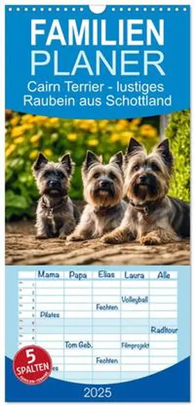 CALVENDO / Kleemann |  Familienplaner 2025 - Cairn Terrier - lustiges Raubein aus Schottland mit 5 Spalten (Wandkalender, 21 x 45 cm) CALVENDO | Sonstiges |  Sack Fachmedien