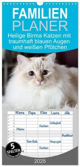 CALVENDO / Thoms |  Familienplaner 2025 - Heilige Birma Katzen mit traumhaft blauen Augen und weißen Pfötchen mit 5 Spalten (Wandkalender, 21 x 45 cm) CALVENDO | Sonstiges |  Sack Fachmedien