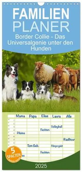 CALVENDO / Starick |  Familienplaner 2025 - Border Collie - Das Universalgenie unter den Hunden mit 5 Spalten (Wandkalender, 21 x 45 cm) CALVENDO | Sonstiges |  Sack Fachmedien