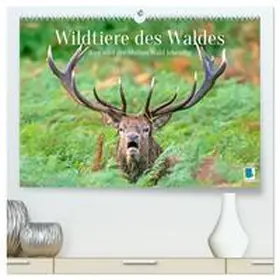 CALVENDO |  Wildtiere des Waldes: Hier wird der Mythos Wald lebendig (hochwertiger Premium Wandkalender 2025 DIN A2 quer), Kunstdruck in Hochglanz | Sonstiges |  Sack Fachmedien