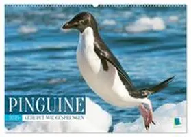 CALVENDO |  Pinguine: Gehupft wie gesprungen (Wandkalender 2025 DIN A2 quer), CALVENDO Monatskalender | Sonstiges |  Sack Fachmedien