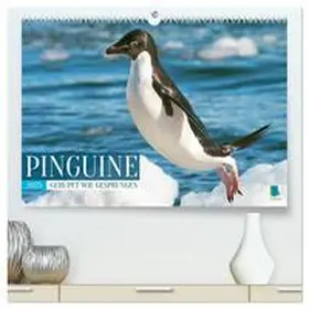 CALVENDO |  Pinguine: Gehupft wie gesprungen (hochwertiger Premium Wandkalender 2025 DIN A2 quer), Kunstdruck in Hochglanz | Sonstiges |  Sack Fachmedien