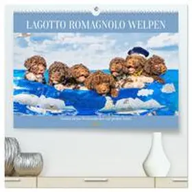 CALVENDO / Starick |  Lagotto Romagnolo Welpen - Sieben kleine Weltentdecker auf großer Fahrt (hochwertiger Premium Wandkalender 2025 DIN A2 quer), Kunstdruck in Hochglanz | Sonstiges |  Sack Fachmedien