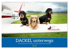 CALVENDO / Dackelzauber |  Dackel unterwegs (Wandkalender 2025 DIN A3 quer), CALVENDO Monatskalender | Sonstiges |  Sack Fachmedien