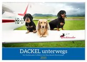 CALVENDO / Dackelzauber |  Dackel unterwegs (Wandkalender 2025 DIN A2 quer), CALVENDO Monatskalender | Sonstiges |  Sack Fachmedien