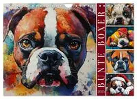 CALVENDO / Löwer |  Bunte Boxer (Wandkalender 2025 DIN A4 quer), CALVENDO Monatskalender | Sonstiges |  Sack Fachmedien