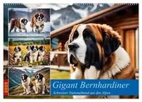 CALVENDO / Kleemann |  Gigant Bernhardiner (Wandkalender 2025 DIN A2 quer), CALVENDO Monatskalender | Sonstiges |  Sack Fachmedien