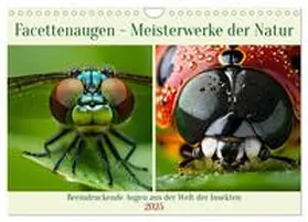 CALVENDO / Kleemann |  Facettenaugen - Meisterwerke der Natur (Wandkalender 2025 DIN A4 quer), CALVENDO Monatskalender | Sonstiges |  Sack Fachmedien