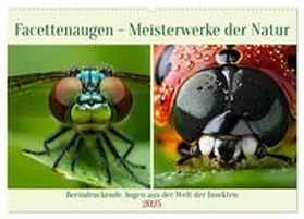CALVENDO / Kleemann |  Facettenaugen - Meisterwerke der Natur (Wandkalender 2025 DIN A2 quer), CALVENDO Monatskalender | Sonstiges |  Sack Fachmedien