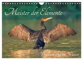 CALVENDO / H. Borngraeber |  Meister der Elemente (Wandkalender 2025 DIN A4 quer), CALVENDO Monatskalender | Sonstiges |  Sack Fachmedien