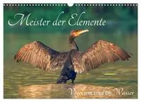 CALVENDO / H. Borngraeber |  Meister der Elemente (Wandkalender 2025 DIN A3 quer), CALVENDO Monatskalender | Sonstiges |  Sack Fachmedien