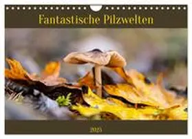 CALVENDO / Scheurer |  Fantastische Pilzwelten (Wandkalender 2025 DIN A4 quer), CALVENDO Monatskalender | Sonstiges |  Sack Fachmedien