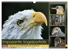 CALVENDO / Löwer |  Imposante Vogelporträts (Wandkalender 2025 DIN A3 quer), CALVENDO Monatskalender | Sonstiges |  Sack Fachmedien